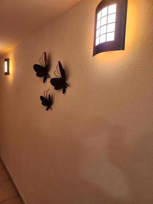 Departamento De Lujo. Seguridad 24. Playa A Pasos. Apartment อากาปุลโก ภายนอก รูปภาพ